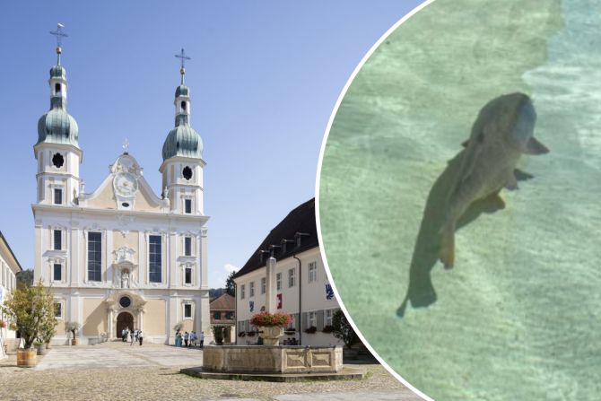 dom arlesheim