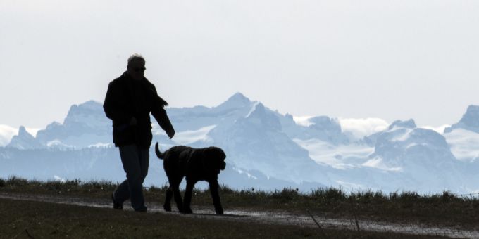 Besitzern, die den Hund im Wald oder am Waldrand nicht an der Leine führen, droht eine Busse. Leinenpflicht