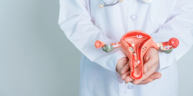 Uterus, Gynäkologie