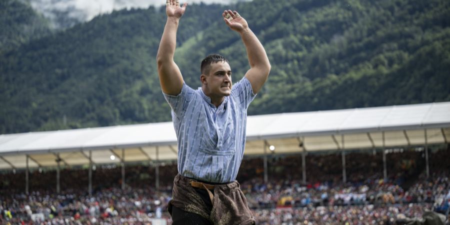 Werner Schlegel