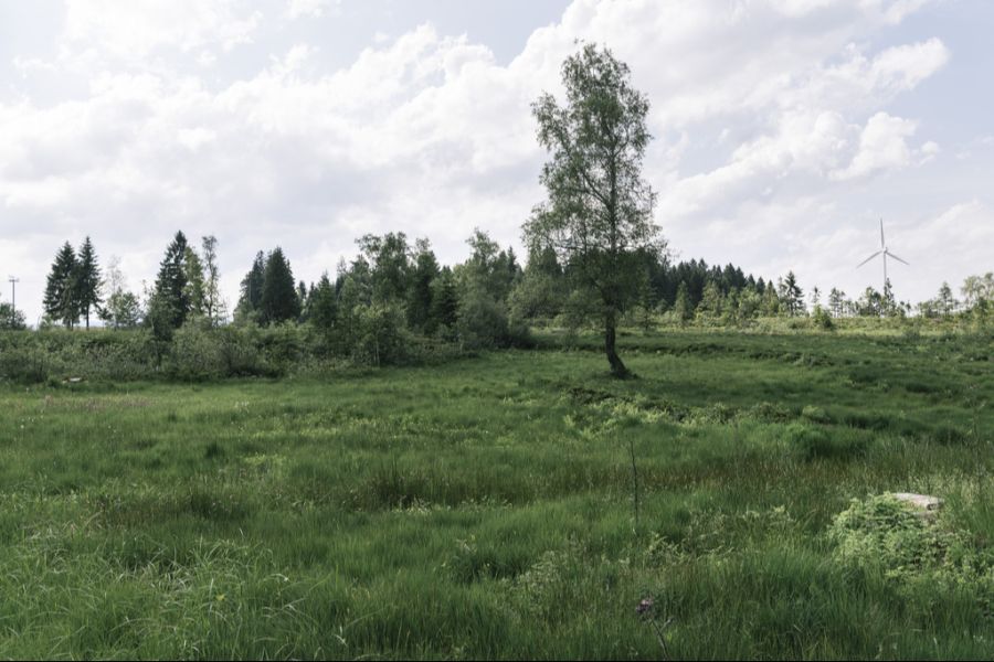 Moor Entlebuch