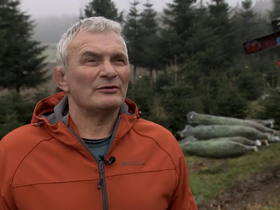 Leonz Küng produziert auf seinem Forstbetrieb jährlich rund 20'000 Weihnachtsbäume.