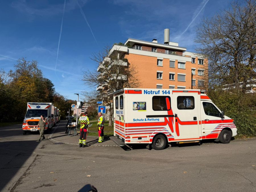 Bilder vom Einsatz in Meilen ZH.
