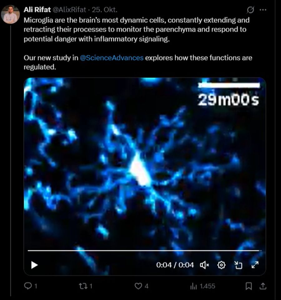 Alzheimer Clic1 Tweet