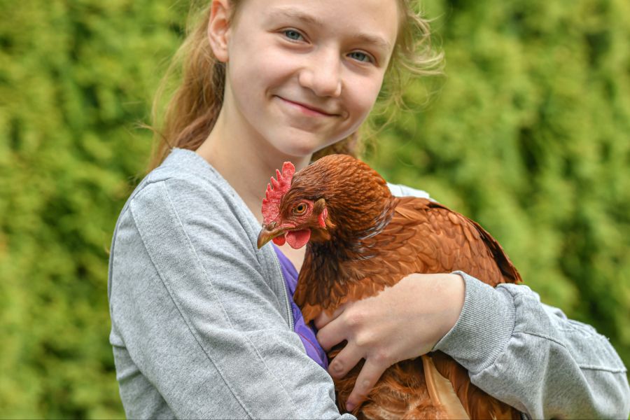 Vögel wie streicheln