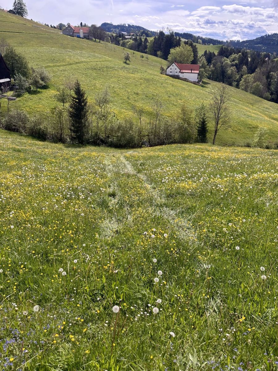 Böschung hinunter.