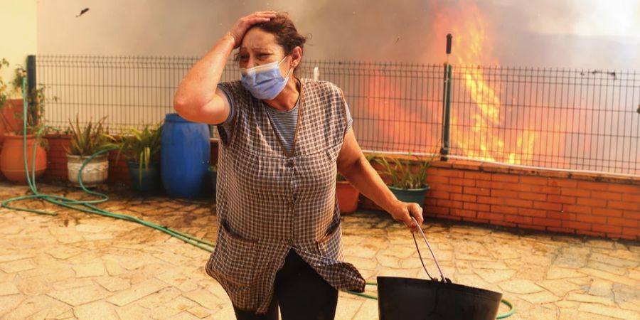 sieben tote bei waldbränden in portugal