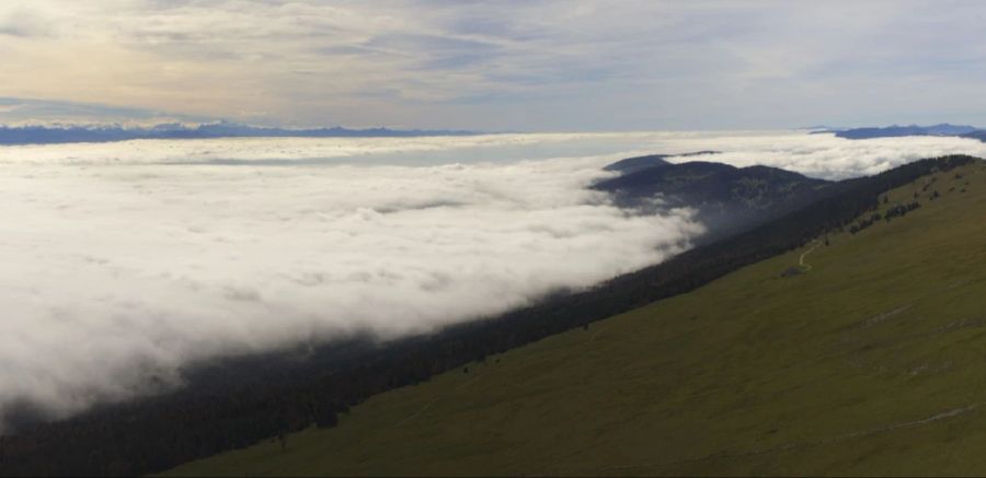 Auch auf dem Chasseral im Jura hatte man eine schöne Aussicht auf das Nebelmeer. (Aufnahme vom 20.10.24, 13:10 Uhr)