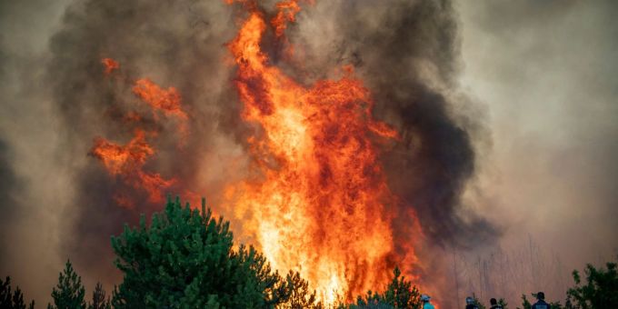 Extremhitze - Nordmazedonien kämpft gegen Waldbrände