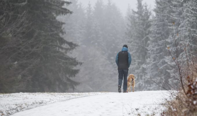 Die meiste Zeit leben Hunde ganz intensiv im Jetzt. (Symbolbild) Hund