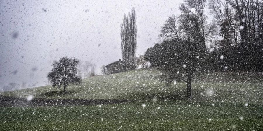 Am Montag liegt die Schneefallgrenze zwischen 300 und 600 Metern.