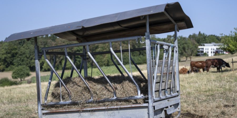 Die Hälfte des zusätzlichen Budgets geht zuhanden der Landwirtschaft, die besonders stark von der ausserordentlichen Trockenheit betroffen ist. (Symbolbild)