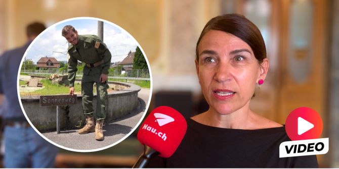De Meuron herrenlose Grundstücke