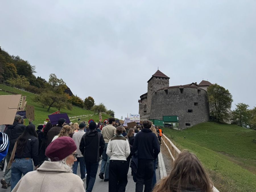 Rund 250 Menschen bewegen sich den Schlossweg hinauf.