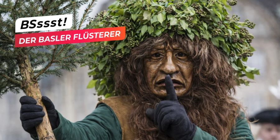basler flüsterer
