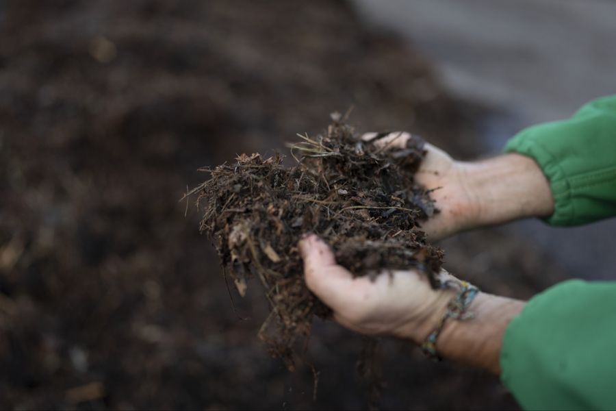 Das Swiss Human Institute of Forensic Taphonomy (SHIFT) erforscht deshalb eine alternative Bestattungsmöglichkeit.