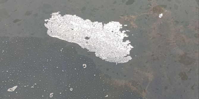 Neuenburgersee in Gletterens