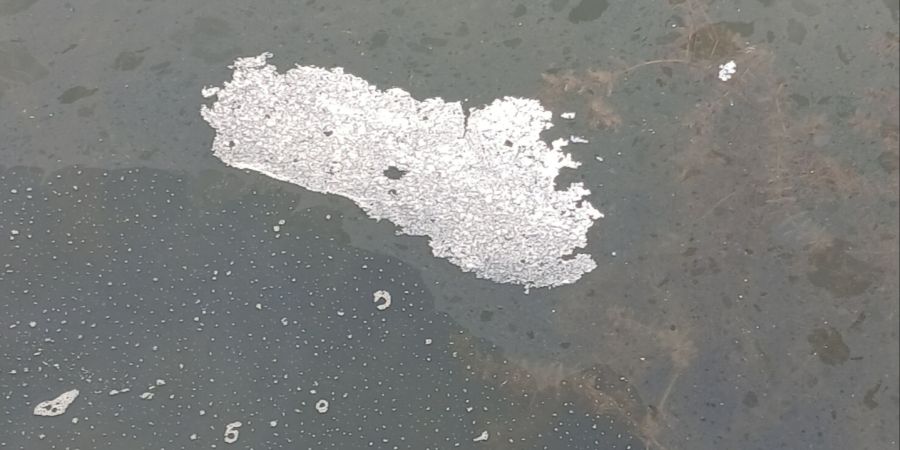 Neuenburgersee in Gletterens