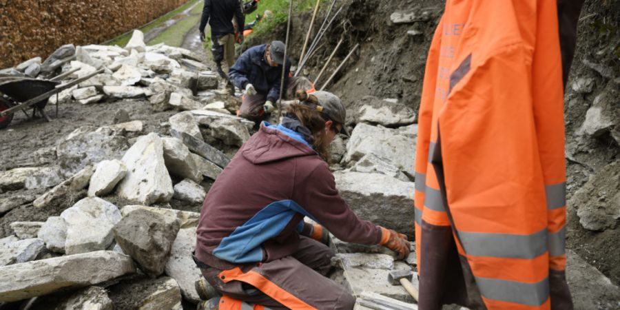 Nur wer aus Gewissensgründen keinen Militärdienst leistet, soll zum Zivildienst gehen. Das ist das Ziel einer von Bürgerlichen unterstützten Reform, über die am 14. Juni abgestimmt...