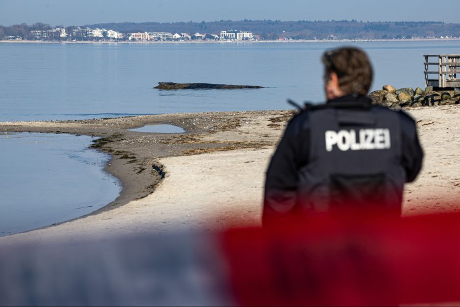 Ein Großwal tauchte vor Niendorf (D) auf – lebend wurde er auf einer Sandbank gesichtet.