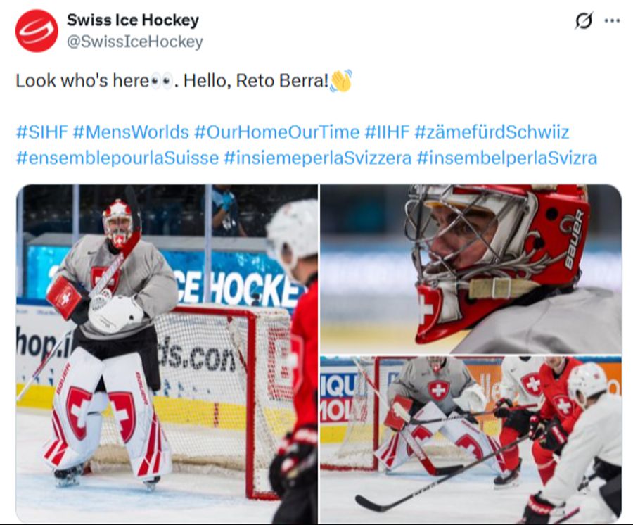 Schweizer Eishockey