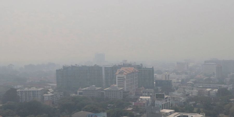 Grund für den Smog sind Brandrodungen. (Archivbild)