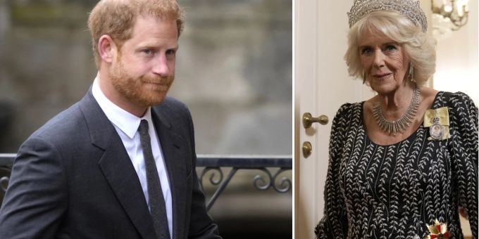 Ein gutes Verhältnis? Haben Harry und Camilla spätestens seit seinem Buch wohl nicht mehr. Prinz Harry