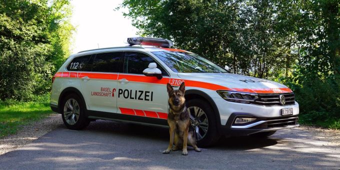 Diensthund: „Forrest“ von der Burg Schwarzsee, fünf Jahre alter Rüde. Diensthund: „Forrest“