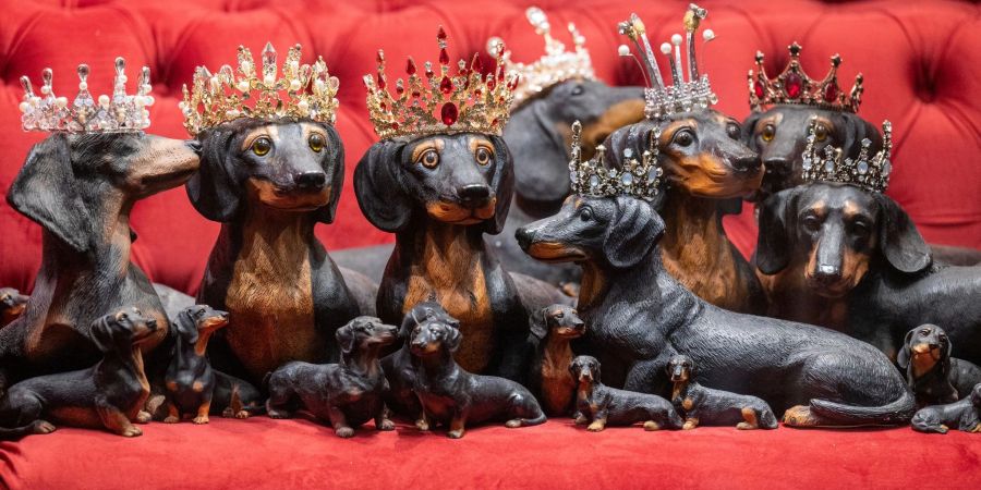 Im Dackelmuseum in Regensburg finden sich einige kuriose Exponate - etwa diese Krone tragenden Dackelnachbildungen.