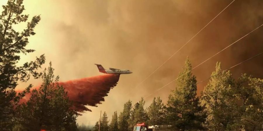 Ein Löschflugzeug über dem Grandview Fire in der Nähe von Sisters, Oregon. Foto: Uncredited/Oregon Department of Forestry via AP/dpa