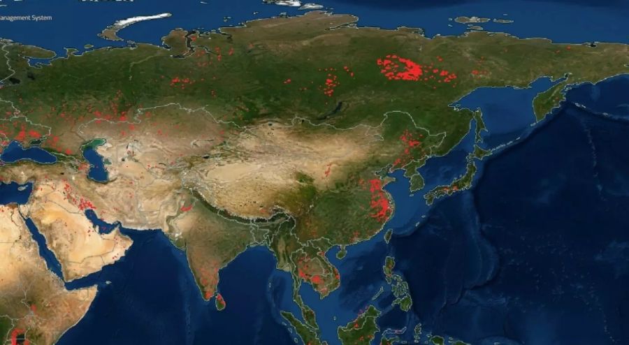 Russland leidet unter den schlimmsten Waldbränden der Geschichte.