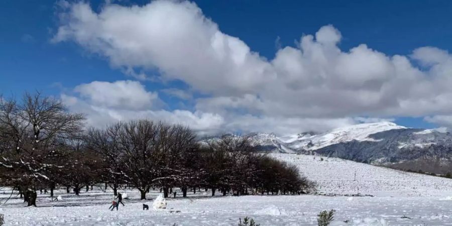 Eine geschlossene Schneedecke hat sich in der Nähe von Ceres am Westkap von Südafrika gebildet. Foto: Kristin Paliza/dpa