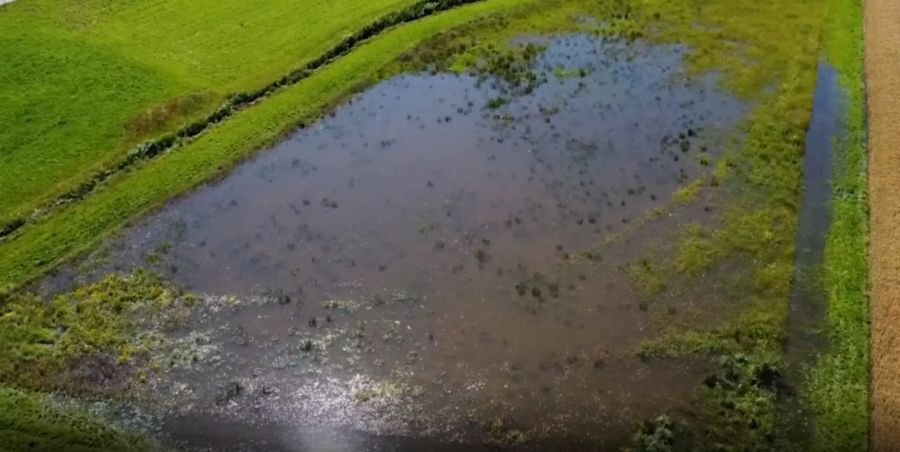 Die heftigen Regenfälle hinterliessen in der Schweiz Spuren.