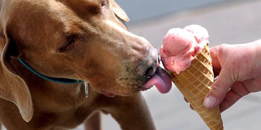 Bei den warmen Temperaturen hatten alle Lust auf ein feines Glace (Symbolbild).