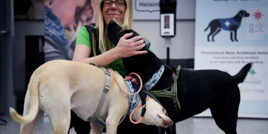 Die Covid-19-Spürhunde K'ssi (l) und Miina sollen in Helsinki Corona-Infektionen bei Menschen erschnüffeln, noch bevor diese Symptome zeigen. Foto: Antti Aimo-Koivisto/Lehtikuva/dpa