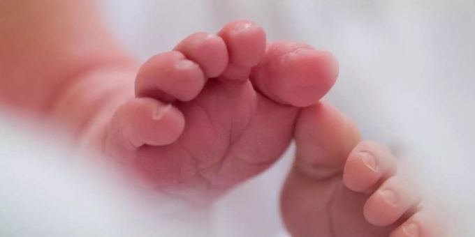 Immer mehr Babys werden im Sommer geboren. Foto: Arno Burgi/dpa-Zentralbild/dpa Immer mehr Babys werden im Sommer geboren. Foto: Arno Burgi/dpa-Zentralbild/dpa