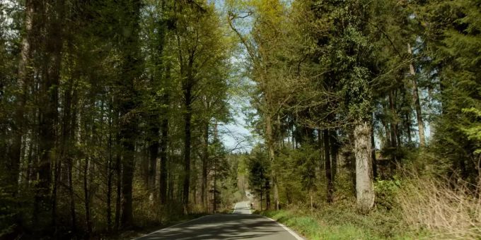 Das neue Jagdgesetz hätte keine grossen Auswirkungen auf das Jagdrevier in Kloten. Jagdrevier Kloten