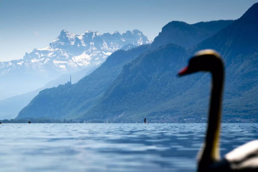 Pauschalbesteuerung Genfersee