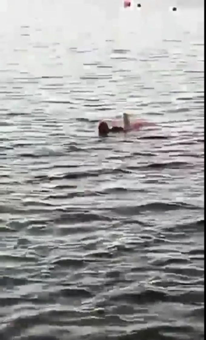Hai