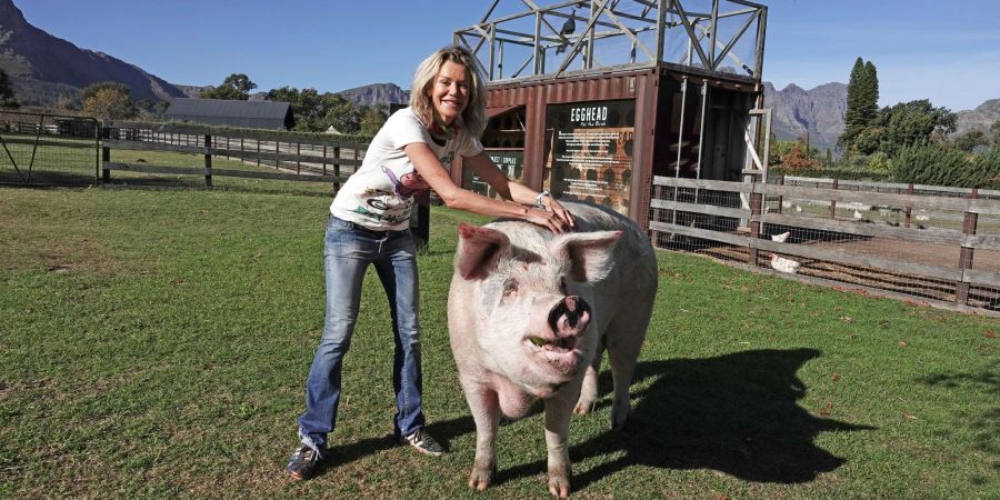 Pigcasso und seine Halterin Joanne Lefson stehen auf einer Wiese. Die Erlöse der Kunstwerke fliessen zurück in den Gnadenhof, um den Lebensabend von Bauernhoftieren zu finanzieren.