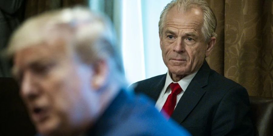 donald trump peter navarro