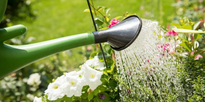 Giesskanne Blumen Beet Wasser