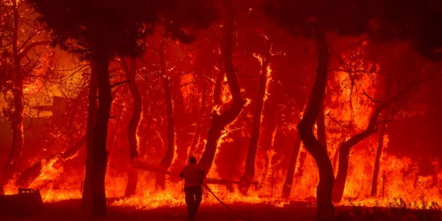 dpatopbilder - Ein Mann geht mit einem Löschschlauch auf die Flammen eines Waldbrandes auf der Ferieninsel Lesbos zu. Foto: Eurokinissi/Eurokinissi via ZUMA Press Wire/dpa