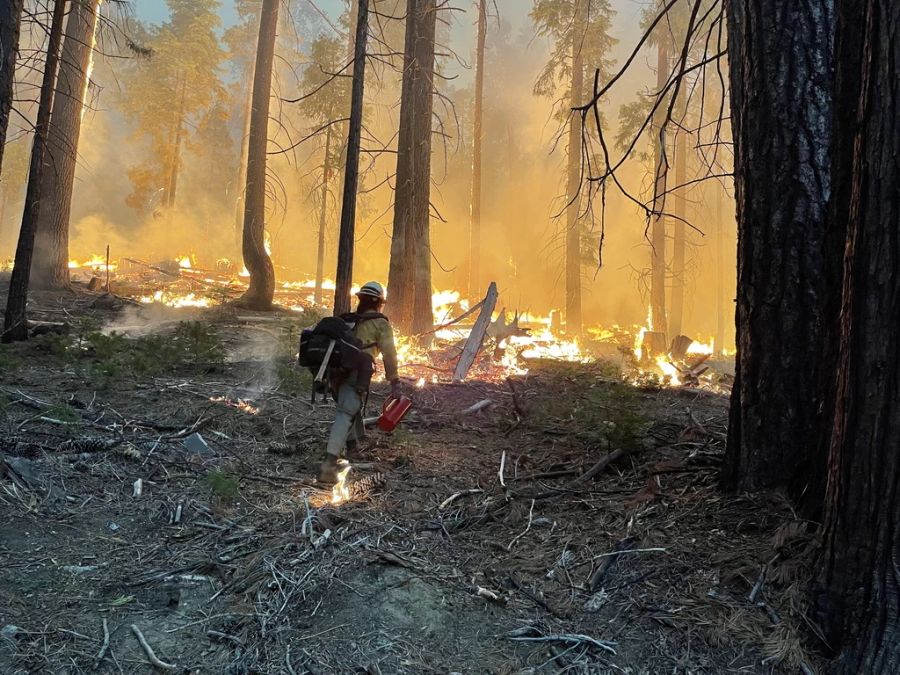 Die Feuerwehrleute kämpfen seit über einer Woche gegen den Waldbrand im Yosemite Nationalpark.