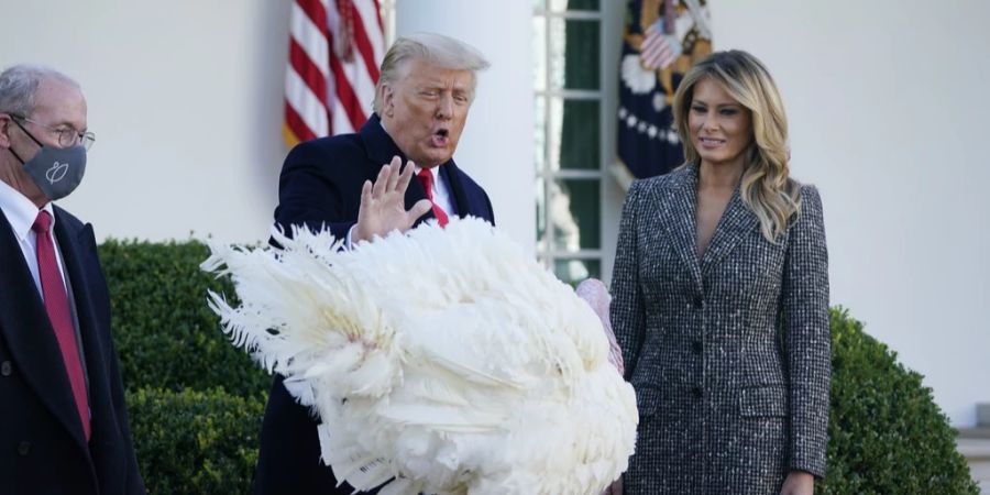 melania trump