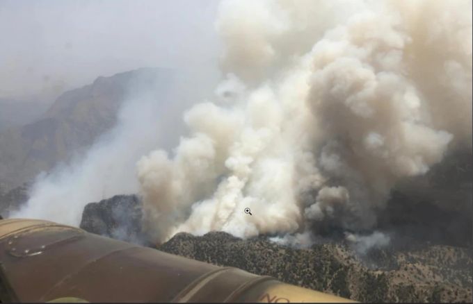 Im Südwesten Pakistans kam es aufgrund der Hitzewelle zu einem grossen Waldbrand. Waldbrand Pakistan
