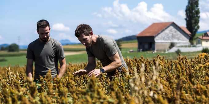 Eine ausgewogene Ernährung mit Getreidesorten wie Quinoa könnte in den reichen Ländern helfen, den Hunger in der Welt zu mindern. (Archivbild) Eine ausgewogene Ernährung mit Getreidesorten wie Quinoa könnte in den reichen Ländern helfen, den Hunger in der Welt zu mindern. (Archivbild)
