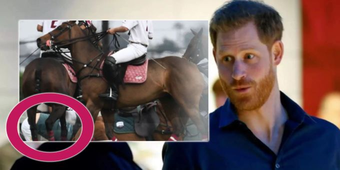 Schock-Moment - Prinz Harry stürzt beim Polo vom Pferd