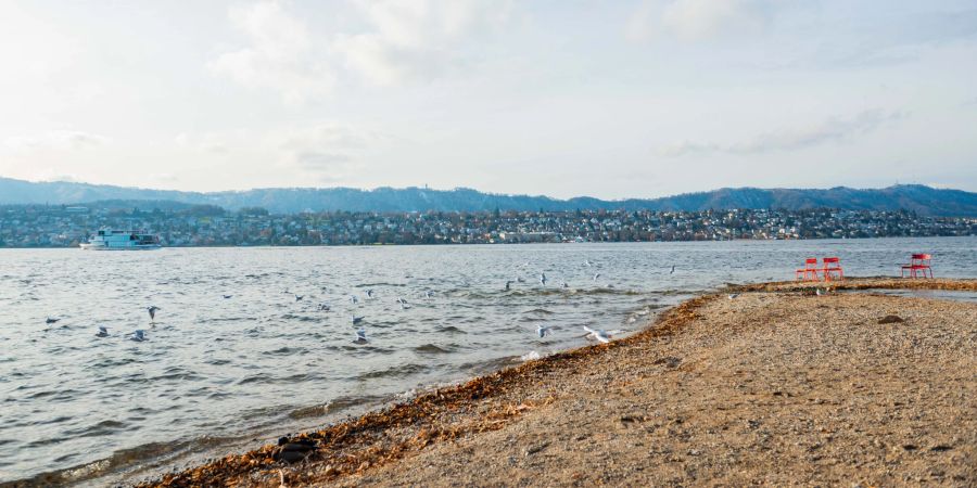 Die Gemeinde Küsnacht (ZH) am Zürichsee.