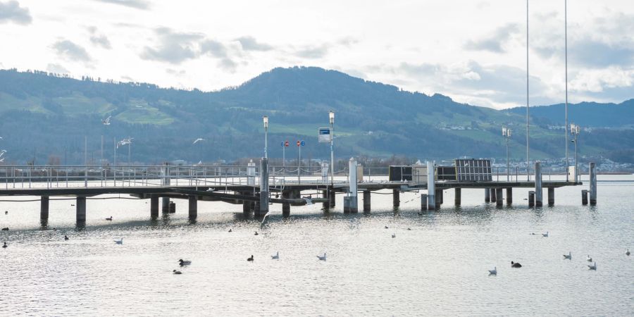 Der Schiffshafen in Rapperswil-Jona.